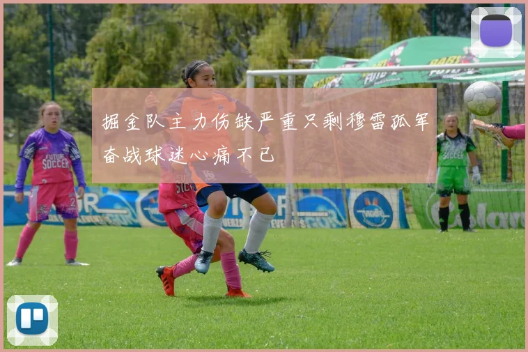 掘金队主力伤缺严重只剩穆雷孤军奋战球迷心痛不已