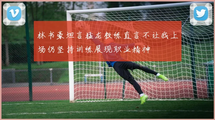 林书豪坦言猛龙教练直言不让我上场仍坚持训练展现职业精神
