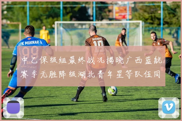 中乙保级组最终战况揭晓广西蓝航赛季无胜降级湖北青年星等队伍同遭降级