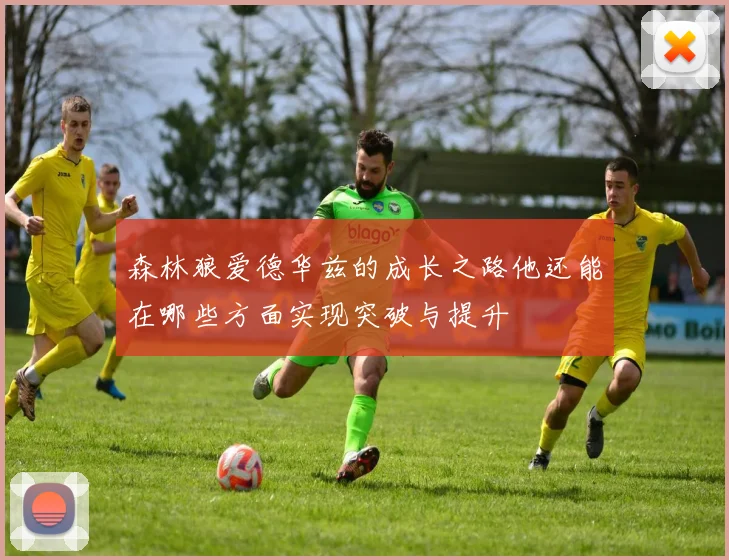 森林狼爱德华兹的成长之路他还能在哪些方面实现突破与提升