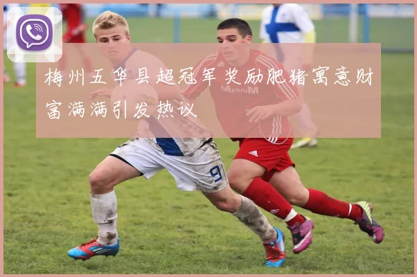梅州五华县超冠军奖励肥猪寓意财富满满引发热议
