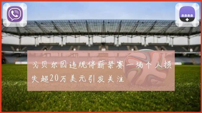 戈贝尔因违规停薪禁赛一场个人损失超20万美元引发关注