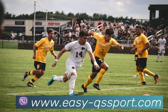 球速体育平台生态图