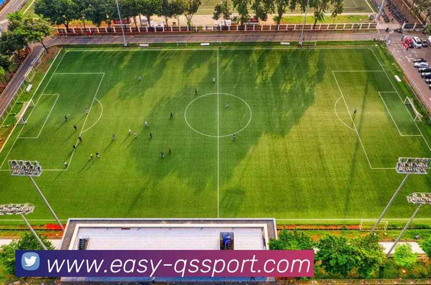 球速体育APP 封面图